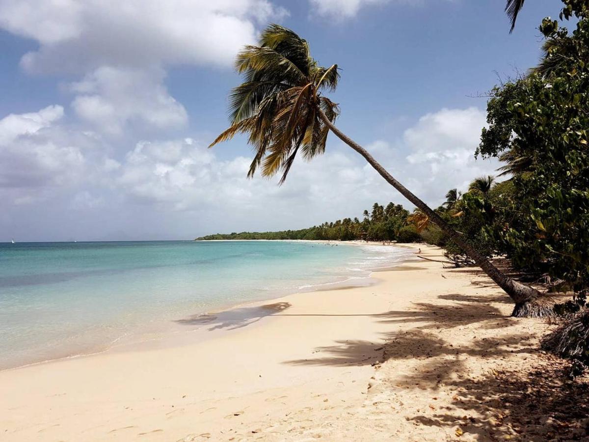 Dany Lodge - Spacieux T2 A 5 Minutes De La Plage En Voiture Riviere-Pilote Luaran gambar